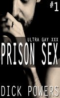 Cover for 'Ultra Gay XXX: Prison Sex #1'