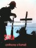 Suvla by Anthony O'Farrell