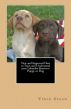 New and Improved How to Train and Understand your Labrador Retriever Puppy or Dog by Vince Stead