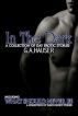 In the Dark: a Collection of Gay Erotic Stories by G.A. Hauser