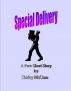 Special Delivery by Shirley McCann