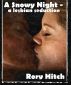 A Snowy Night - An Erotic Lesbian Seduction by Rory Hitch