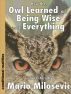 How the Owl Learned that  Being Wise isnâ€™t Everything by Mario Milosevic