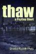 Thaw by Jordan Castillo Price