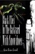 Black Flies In The Backyard With Snowshoes by Kevin Brian Carroll