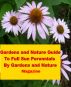 Twenty Full Sun Perennials for Your Indiana Garden by Gardens And Nature Magazine