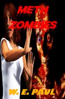 Cover for 'Meth Zombies'