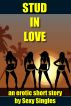 Stud in Love by Sexy Singles