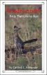 Roadrunners: Birds That Like To Run by Caitlind Alexander