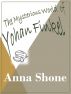 The Mysterious World of Yohan Finkel by Anna Shone