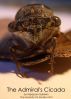 The Society On Da Run Magazine #41: The Admiral's Cicada by Nipaporn Baldwin