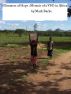 Glimmers of Hope : Memoir of a VSO in Africa by Mark Burke