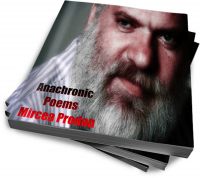 Cover for 'Anachronic'