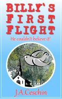 Cover for 'Billy's First Flight'