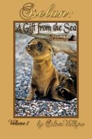 Cover for 'Sselan: A Gift from the Sea'