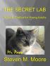 The Secret Lab by Steven M. Moore