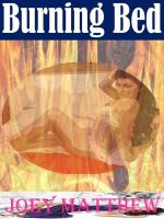 Cover for 'Burning Bed'