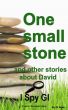 One small stone by Di Allen