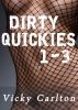 Dirty Quickies 1 - 3 (Sammelband mit heiÃŸen Sexgeschichten) by Vicky Carlton