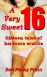 A Very Sweet 16 by Bad Penny Press