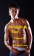 Straight and Gay:  A Collection of  Rentboy Gay Sex Stories Between Straight and Gay Men, Volume Two by Dot Mobi Technologies 