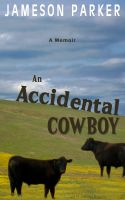 Cover for 'An Accidental Cowboy'