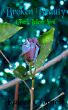 Broken Beauty (Faerie Believers 03) by Kalcee Clornel