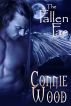 The Fallen Fae by Connie Wood