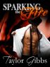 Sparking The Fire by Taylor Gibbs