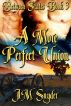Between States Book 3: A More Perfect Union by J.M. Snyder