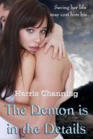 Cover for 'The Demon Is In The Details'
