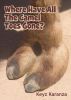 Where Have All The Camel Toes Gone? by Keyz Karanza