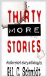 Thirty More Stories by Gil C. Schmidt
