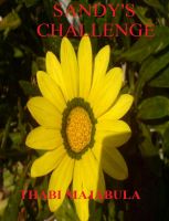 Cover for 'Sandy's Challenge'