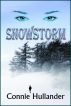 Snowstorm by Connie Hullander