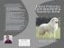 Great Pyrenees Dog Behavior & Training Book by Vince Stead