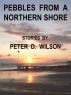 Pebbles from a Northern Shore by Peter Wilson