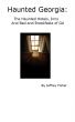 Haunted Georgia: The Haunted Hotels, Inns and Bed and Breakfasts of GA by Jeffrey Fisher