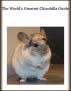 The World's Greatest Chinchilla Guide by Michael  Sorento