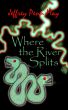 Where the River Splits by Jeffrey Penn May