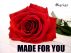 Made For You by Dora Okeyo