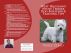 West Highland White Terrier Dog Behavior & Training Tips by Vince Stead