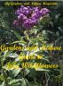 Gardens and Nature Guide to July Wildflowers by Gardens And Nature Magazine