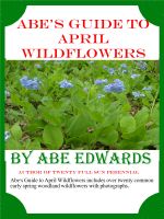 Cover for 'Abe&rsquo;s Guide to April Wildflowers'