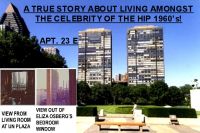 Cover for 'LIVING LIFE AT THE UN PLAZA'