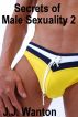 Secrets of Male Sexuality 2 by J.J. Wanton