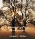 Captivated by Christ: Focusing on Him by Linden Wolfe