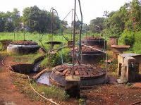 Cover for 'A New Approach to Microfinance Biogas in India'