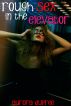 Rough Sex in the Elevator by Aurora Dupree