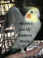 Cover for 'I Believe I Can Fly'